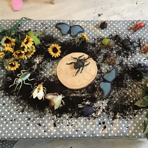 New builder tray 5