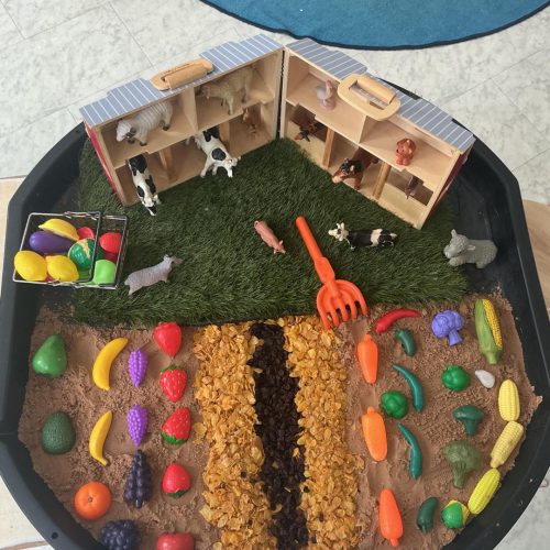 New builder tray 5