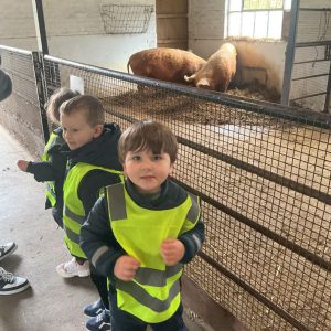 new farm trip 3