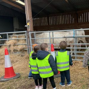new farm trip 7
